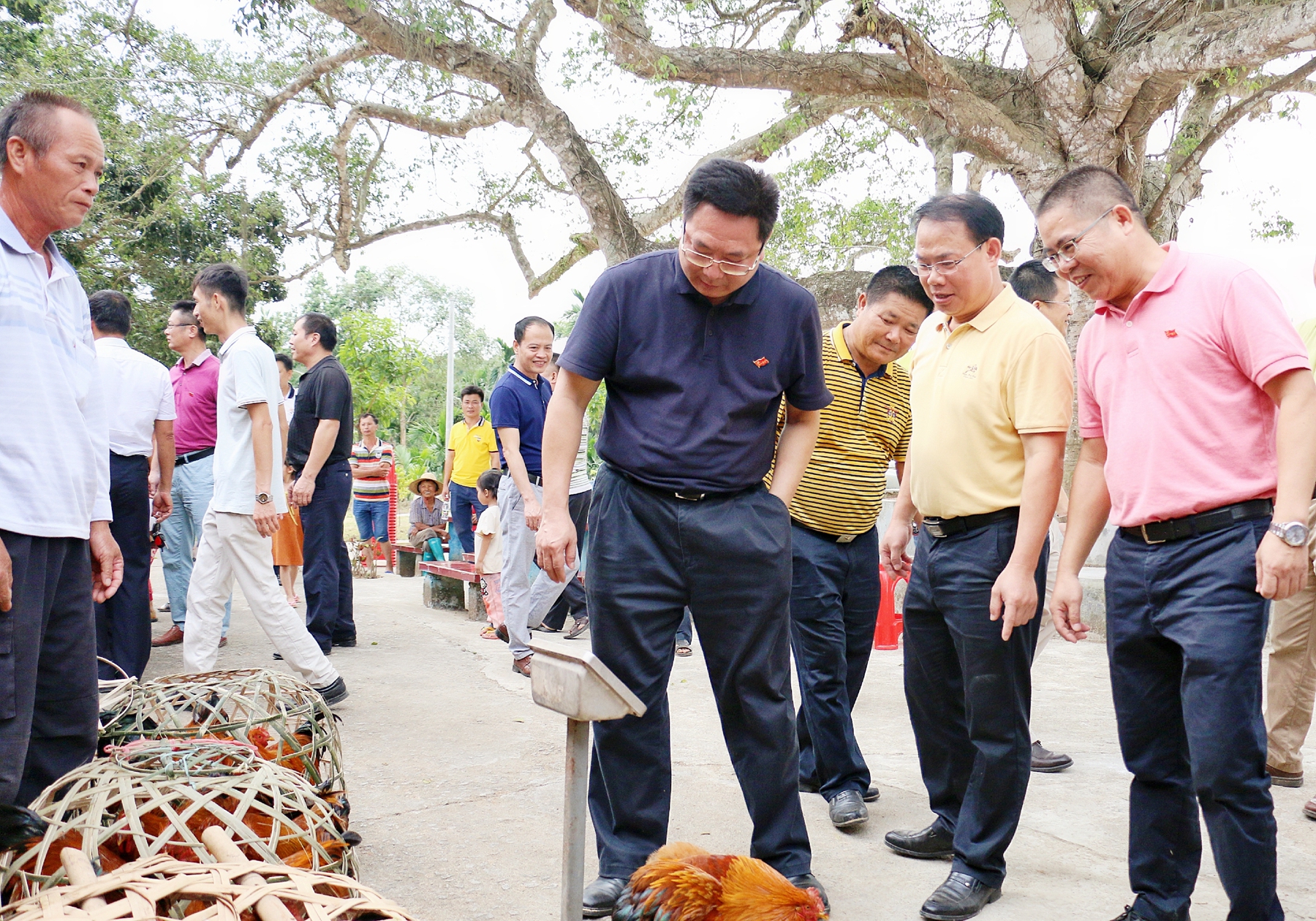 尊龙集团 (中国区)官方网站